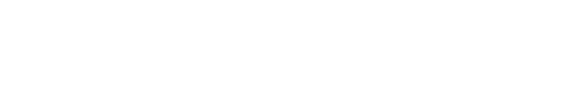 SafeConnect